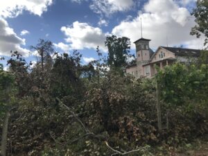 Große Schäden nach Sturm „Fabienne“